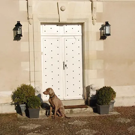Frühstückspension Chateau De Jalnay 3*