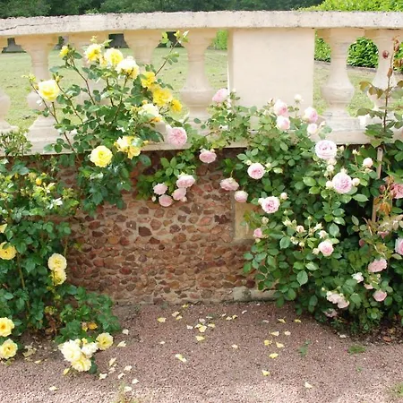 Chateau De Jalnay Frühstückspension 3*